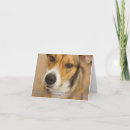 Search for apology to friend cards Humour