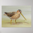 Search for common art Bird