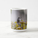 Search for hummingbird mugs Branch