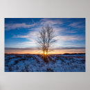 Search for 36x24 posters Snow