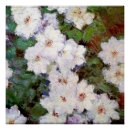 Search for clematis posters Flowers