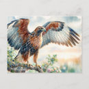 Search for predator postcards Wild animal
