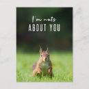 Search for about postcards Joke