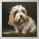 Search for griffon dog breed Animal