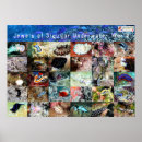 Search for guided art Sea