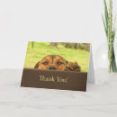 Search for pit bull cards Cute