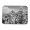 Search for infrared magnets Artistic