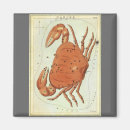 Search for astrological chart magnets Celestial map