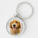 Search for golden retriever key rings Cute