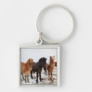 Search for iceland key rings Atlantic