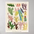Search for coral reef posters Great barrier reef
