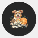 Search for rescue my cats stickers Pet