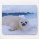 Search for harps mousepads White