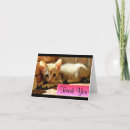 Search for sad cards Kitten