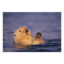 Search for depth of field art Fauna