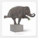 Search for bizarre stickers Humour