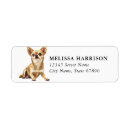 Search for chihuahua puppy return address labels Chihuahuas