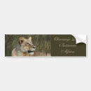 Search for safari bumper stickers Animal
