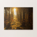 Search for autumn puzzles Woods