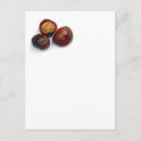 Search for conker Nature