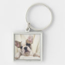 Search for english bulldog key rings Cute