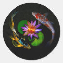 Search for pond fish stickers Asian