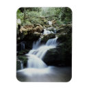 Search for backcountry magnets Forest