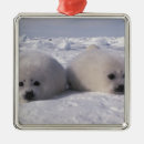 Search for harp christmas tree decorations Animal