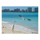 Search for marco art Florida