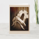 Search for in tack postcards Photography