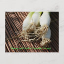 Search for cooked vegetables postcards Recipe