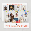 Search for paw ty invitations Pet