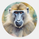 Search for baboons stickers Monkey