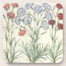 Search for carnation coasters Botanical