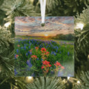 Search for texas bluebonnet christmas tree decorations Springtime