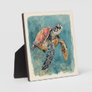 Search for sea turtle plaques Marine life