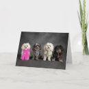 Search for dog panting cards Puppy