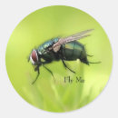 Search for pest stickers Fly