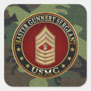Search for sergeant stickers Master gunnery sergeant 3d