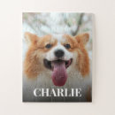 Search for large piece puzzles Animal