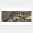 Search for american wildlife stickers Nature