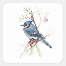 Search for jay bird stickers Watercolor