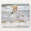 Search for ellen mousepads Ranch