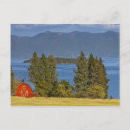 Search for chucks postcards Tree