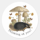 Search for hedgehog stickers Botanical