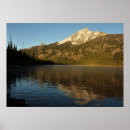 Search for jenny posters Nature