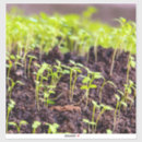 Search for grass cutting stickers Nature