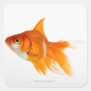 Search for side view stickers Animal