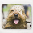 Search for dog show mousepads Panting