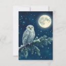 Search for snowy owl christmas cards Nature